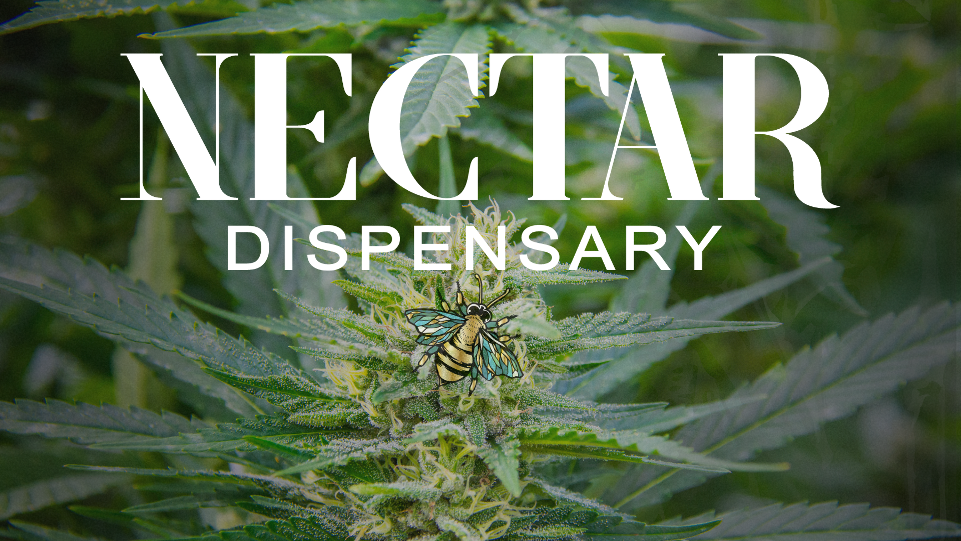 Nectar Dispensary